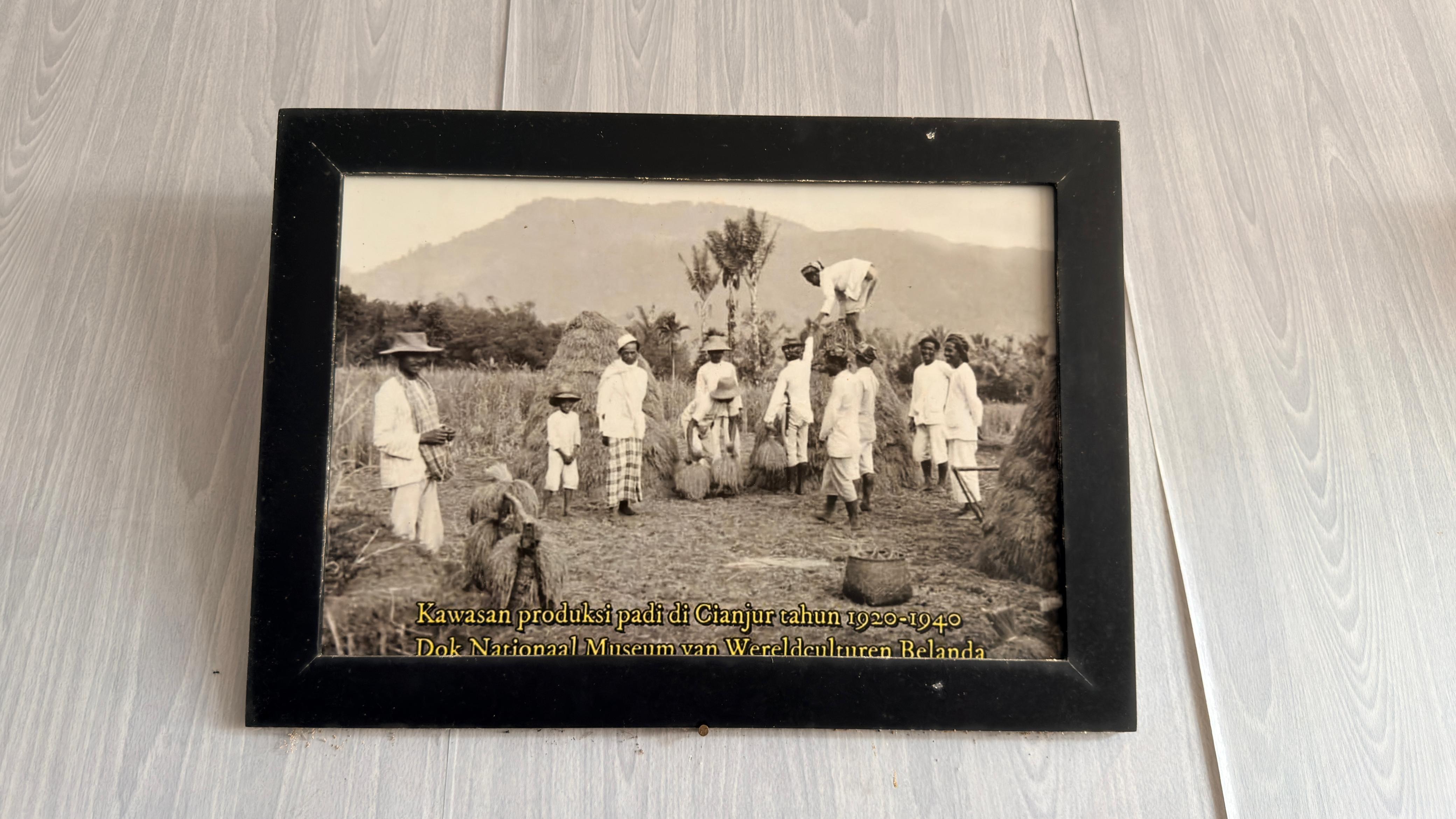 Kawasan produksi padi di Cianjur tahun 1920-1940 Dok Nationaal Museum van Wereldculturen Belanda